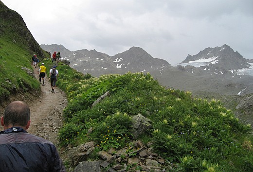 Foto